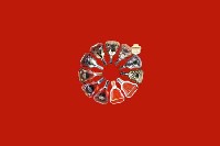 三门峡义马回收红酒